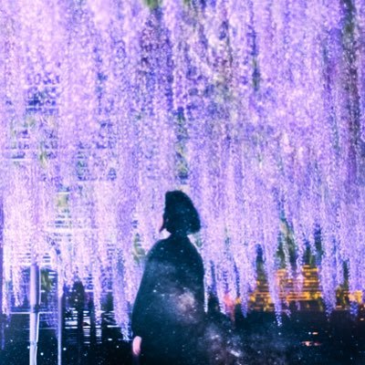よたかのアイコン