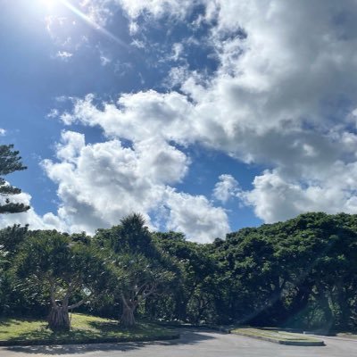 Sakuraのアイコン