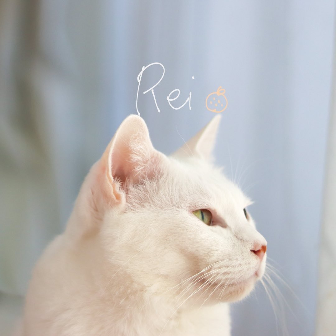 re1_photoのアイコン