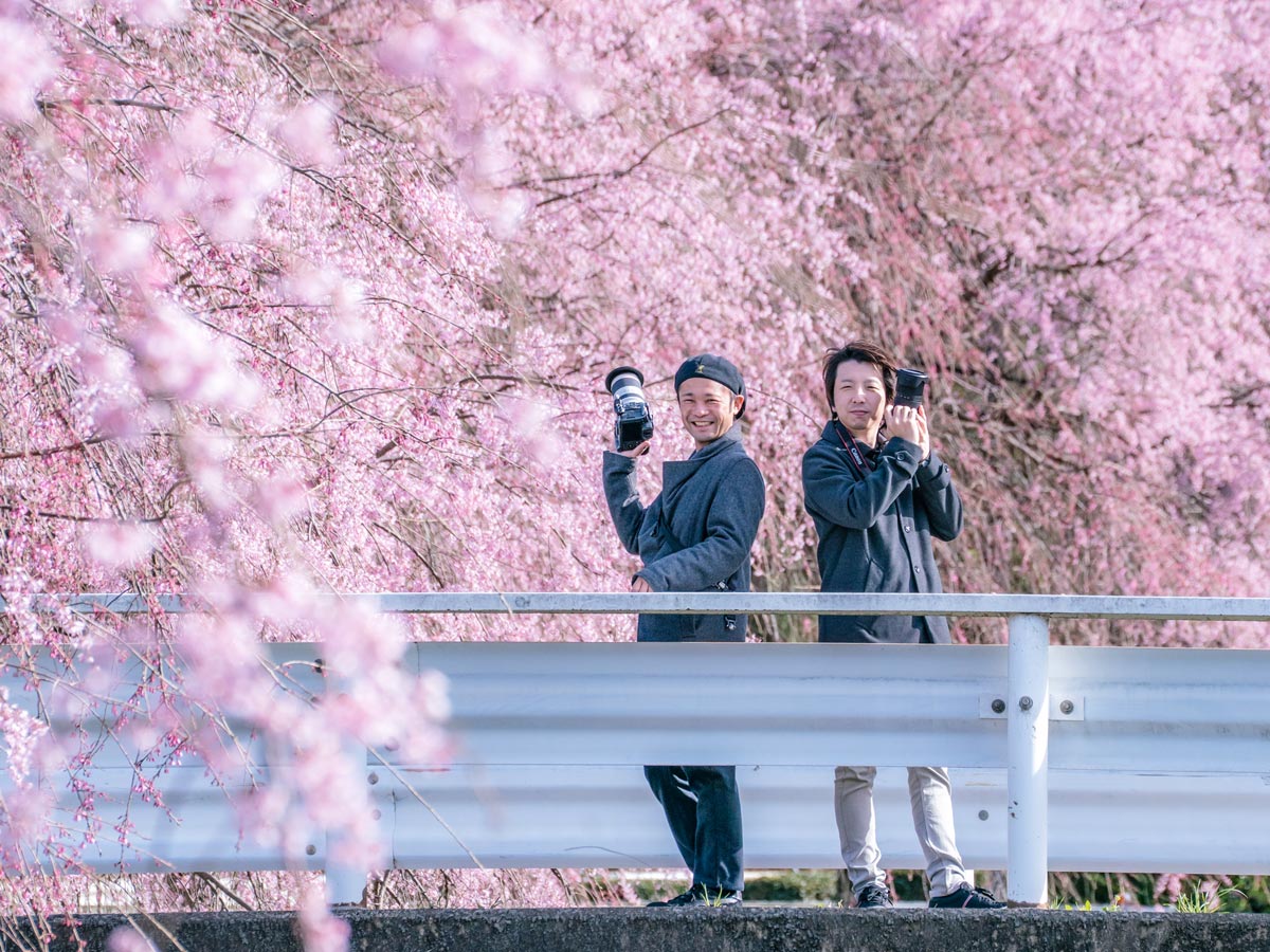 満開の桜の下で、カメラを手にする2人